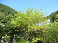 7854-s-2.jpg