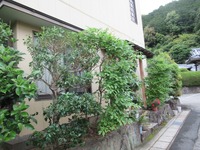 7876-s-1.jpg