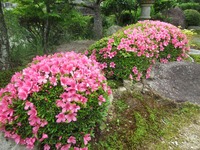 7884-s-1.jpg