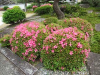7884-s-3.jpg