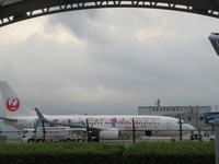 7916-s-3.jpg